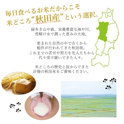 食べ比べ 精米セット ひとめぼれ&あきたこまち 各5kg 計10kg[No.5335-0008]