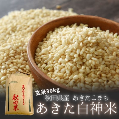 【玄米】秋田県産 あきたこまち 30kg あきた白神米 令和5年産[No.5335-0189]