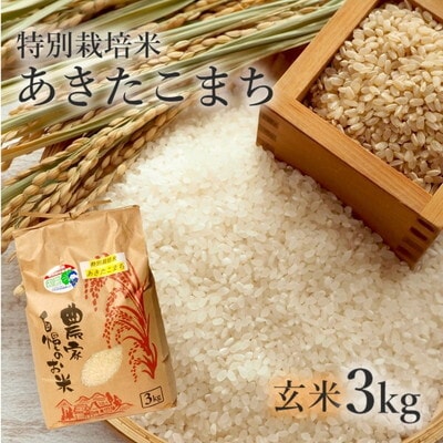 令和7年産 玄米 あきたこまち 3kg  特別栽培米[No.5335-0353]