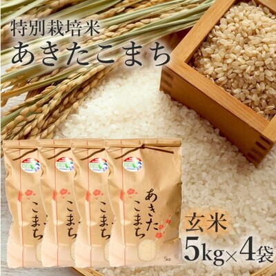 令和7年産 玄米 あきたこまち 20kg (5kg×4袋)  特別栽培米[No.5335-0356]