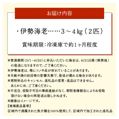 沖永良部島直送!素潜り漁師オススメの特大冷凍伊勢海老 約3～4キロ(2匹)