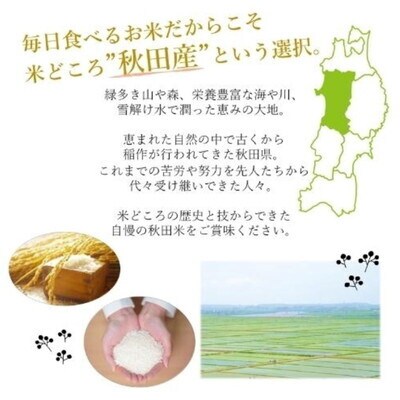 令和7年産 あきたこまち 精米 10kg スマイリィー[No.5335-0705]