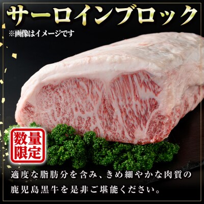 ＜4等級・5等級＞鹿児島黒牛サーロイン　かたまりブロック　G01002