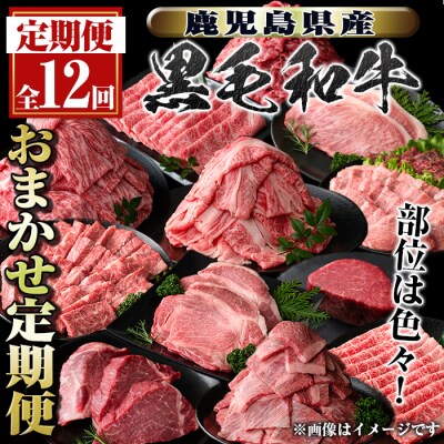  ＜定期便・全12回＞鹿児島県産黒毛和牛おまかせ定期便 　G01001