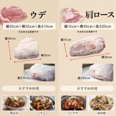 鹿児島県産豚1頭ブロックセット(6箱一括送付)　G05031