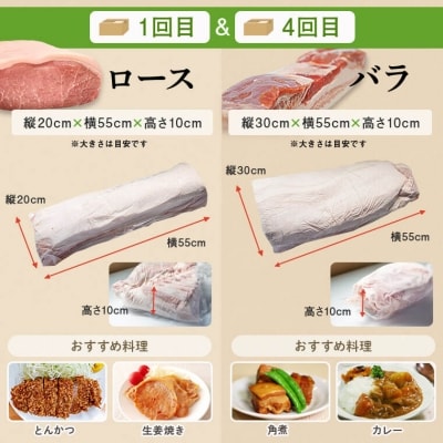鹿児島県産豚1頭ブロックセット(6回送付定期便)　G05032