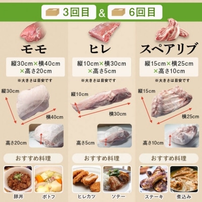 鹿児島県産豚1頭ブロックセット(6回送付定期便)　G05032