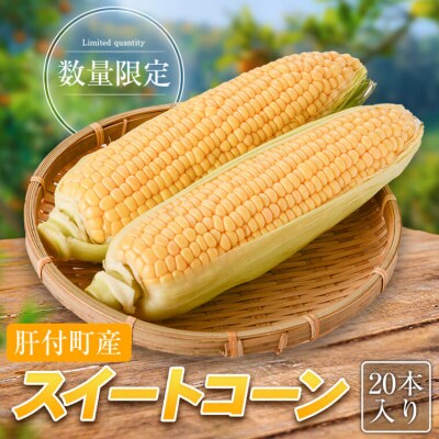 【先行受付】農家直送!朝採れ　スイートコーン　A68001