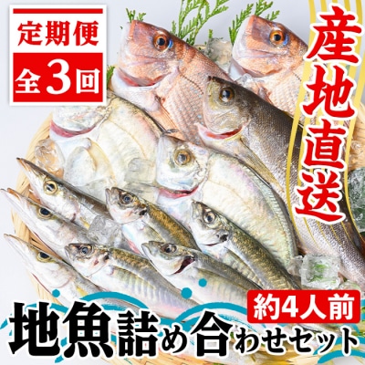 【3回定期便】魚屋さんの選んだ新鮮お魚詰め合わせ(約4人分)　C09002