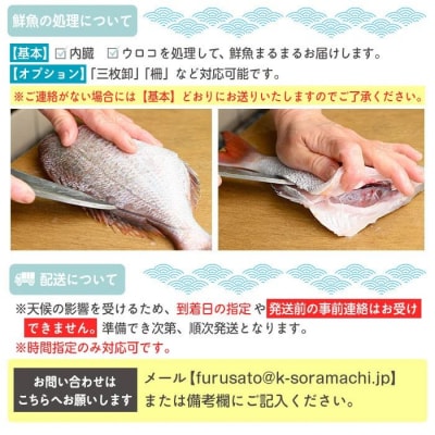 【3回定期便】魚屋さんの選んだ新鮮お魚詰め合わせ(約4人分)　C09002