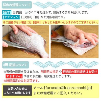 【6回定期便】魚屋さんの選んだ新鮮お魚詰め合わせ(約4人分)　D09001