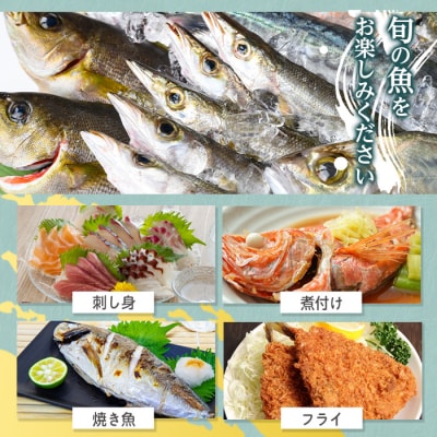 【6回定期便】魚屋さんの選んだ新鮮お魚詰め合わせ(約4人分)　D09001