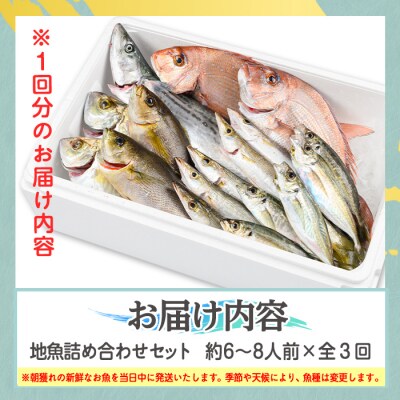 【3回定期便】魚屋さんの選んだ新鮮お魚詰め合わせ(約6~8人分)　D09002
