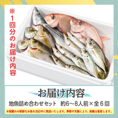 【6回定期便】魚屋さんの選んだ新鮮お魚詰め合わせ(約6~8人分)　E09001