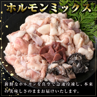黒毛和牛牛すじ・ホルモンミックス＜約900g＞+牛すじだらけのカレーセット　A91032