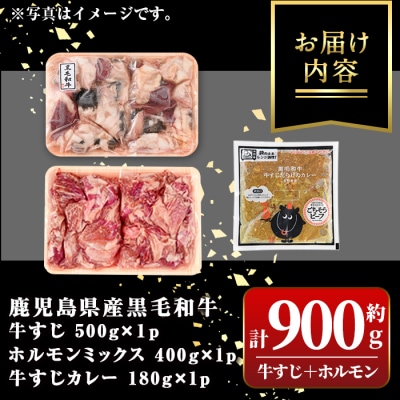 黒毛和牛牛すじ・ホルモンミックス＜約900g＞+牛すじだらけのカレーセット　A91032