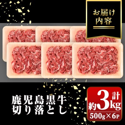鹿児島黒牛　切り落とし(計約3kg・約500g×6パック)　B01030