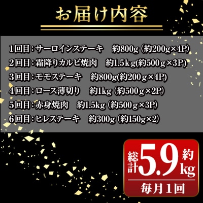 ＜定期便・全6回＞鹿児島黒牛 満足定期便・贅沢満喫セット(全6種・合計5.9kg)　G01003 