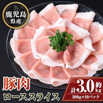 鹿児島県産豚ローススライス10パックセット〈約3kg〉　B05044