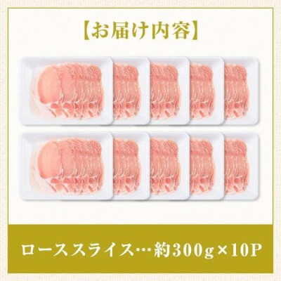 鹿児島県産豚ローススライス10パックセット〈約3kg〉　B05044
