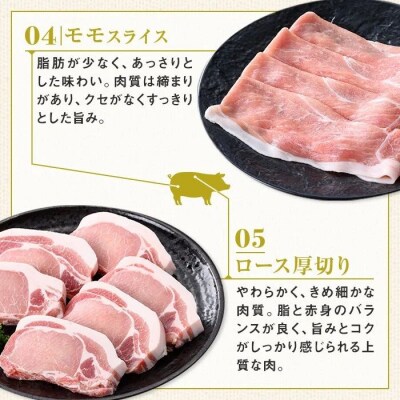 鹿児島県産豚厚切りステーキ&豚4部位食べ比べわいわいセット〈約4.4kg〉　C05042