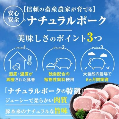 鹿児島県産豚厚切りステーキ&しゃぶしゃぶ三昧セット〈約16kg〉　E05041