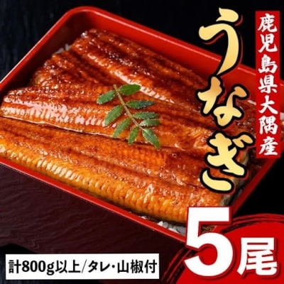 うなぎ蒲焼・大(有頭)(5尾・計800g以上、タレ、山椒付) C57003