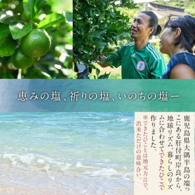 できたひこ出来た塩　岸良の塩(100g) 天日塩　P60003