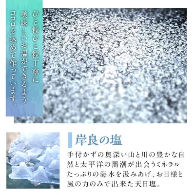 できたひこ出来た塩　岸良の塩(100g) 天日塩　P60003