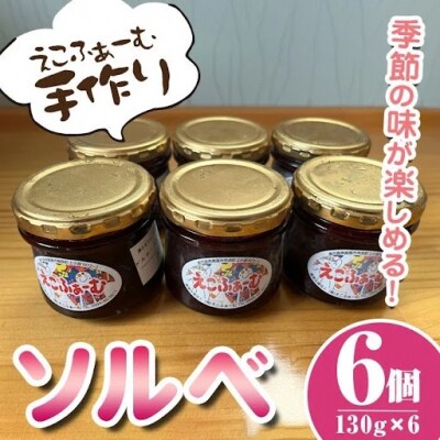 ソルベ詰合せ(各130g×6個) 【えこふぁーむ】　A55020　