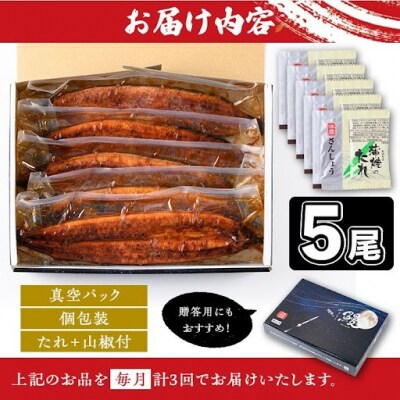 ＜定期便・計3回(連続)＞うなぎ蒲焼・大(有頭)(5尾計800g以上3回タレ山椒付)　E57005
