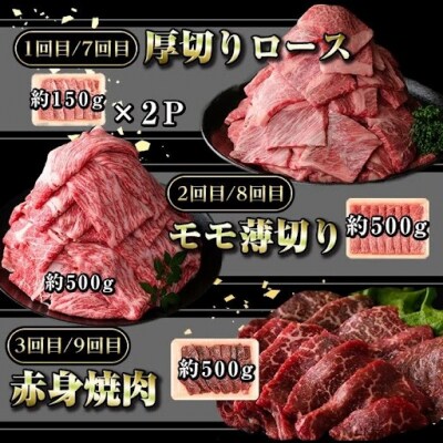 ＜定期便・全12回(連続)＞鹿児島黒牛定期便・堪能セット(全6種・合計5.6kg)　G01004 