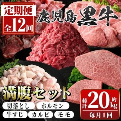 ＜定期便・全12回(連続)＞鹿児島黒牛 満足定期便・満腹セット(全5種合計20kg)　G01006