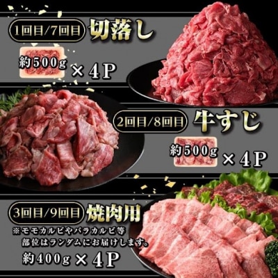＜定期便・全12回(連続)＞鹿児島黒牛 満足定期便・満腹セット(全5種合計20kg)　G01006