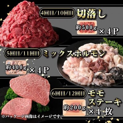 ＜定期便・全12回(連続)＞鹿児島黒牛 満足定期便・満腹セット(全5種合計20kg)　G01006