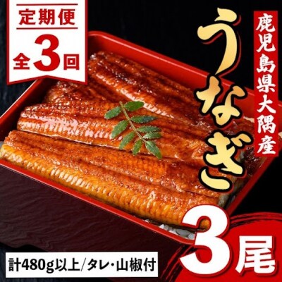 ＜定期便・計3回(連続)＞うなぎ蒲焼・大(有頭)(3尾計480g以上3回タレ山椒付)　E57004