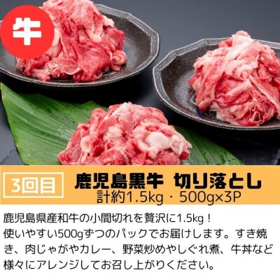 肝付町セレクト定期便《肉だらけ定期便A》【毎月・全3回】　E90001