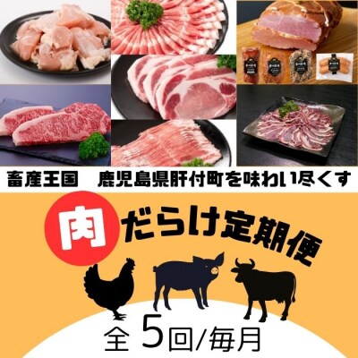 肝付町セレクト定期便《肉だらけ定期便B》【毎月・全5回】　E90002