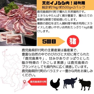 肝付町セレクト定期便《肉だらけ定期便B》【毎月・全5回】　E90002