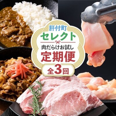＜定期便・全3回＞肝付町セレクト定期便《肉だらけお試し定期便》 C90001 