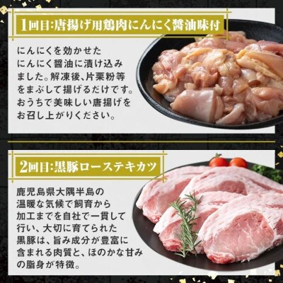 ＜定期便・全3回＞肝付町セレクト定期便《肉だらけお試し定期便》 C90001 