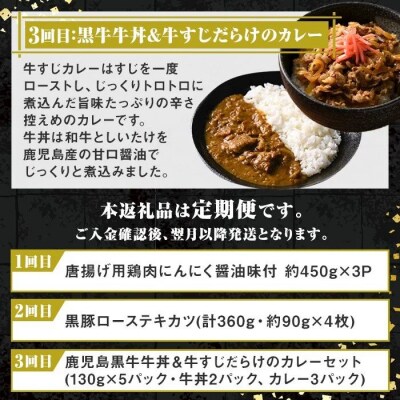 ＜定期便・全3回＞肝付町セレクト定期便《肉だらけお試し定期便》 C90001 