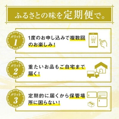 ＜定期便・全3回＞肝付町セレクト定期便《肉だらけお試し定期便》 C90001 