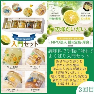 ＜定期便・全3回＞肝付町セレクト定期便《旨味だらけ!調味料定期便》　C90002