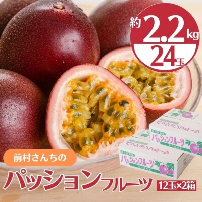 【数量限定】前村さんちの パッション フルーツ　約2.2kg　24個入　A52003