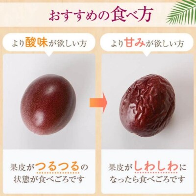【数量限定】前村さんちの パッション フルーツ　約2.2kg　24個入　A52003