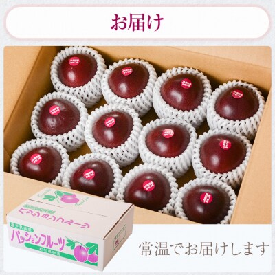 【数量限定】前村さんちの パッション フルーツ　約2.2kg　24個入　A52003