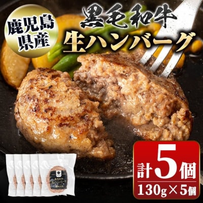 鹿児島県産 黒毛和牛 生ハンバーグセット(130g×5個)　A91024