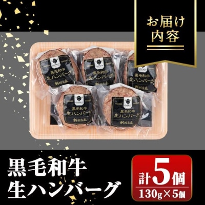 鹿児島県産 黒毛和牛 生ハンバーグセット(130g×5個)　A91024