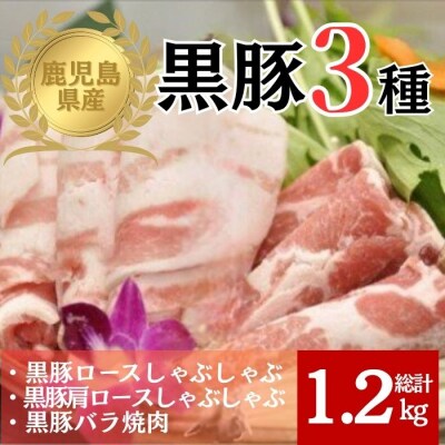鹿児島県産黒豚厳選(約1.2kg)　B06003